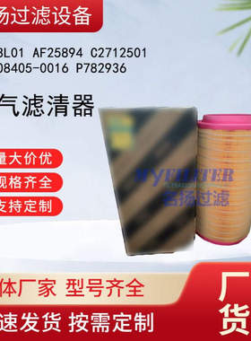 E428L01 AF25894 C2712501 81.08405-0016 P782936 空气滤清器