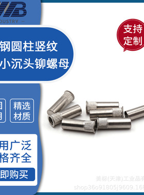 GB-T17880.4圆柱竖纹小沉头盲孔304不锈钢拉铆螺母拉帽M4M5M8M10