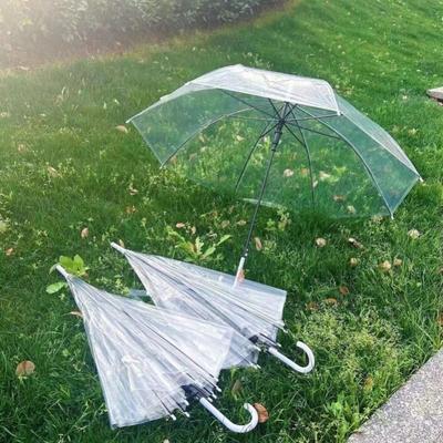 一次性雨伞高级感男生透明雨伞婚礼女式晴雨两用伞麦田拍照道具