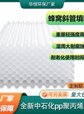 pp六角蜂窝斜管塑料聚丙烯斜管组合填料加厚沉淀池污水处理环保