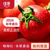 如约而至 尊享款 佳景官方自营 喀柿红水果番茄