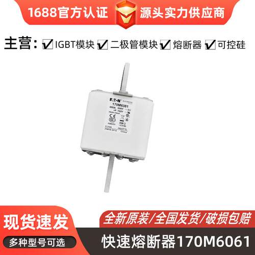 快速熔断器170M1309 规格齐全电子元器件