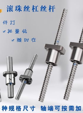 滚珠丝杠杆BSSR BSSRK BSSE1505 1510 2005 2010 2020 2505 2525