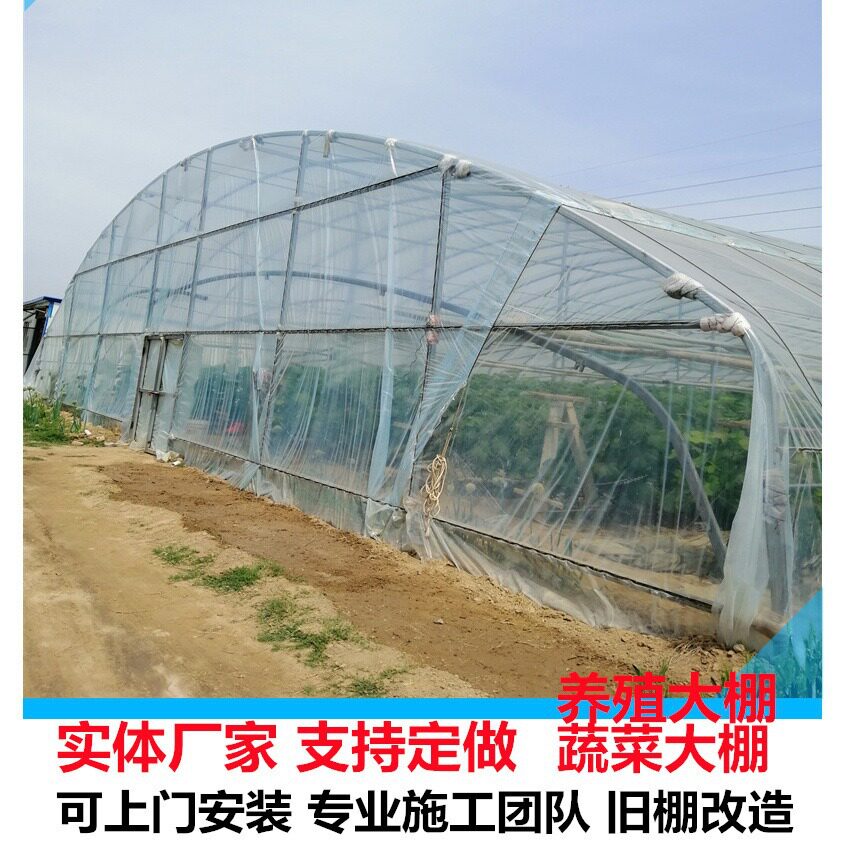山东蔬菜大棚安装 山东建大棚的 镀锌钢管大棚 全国安装上门服务