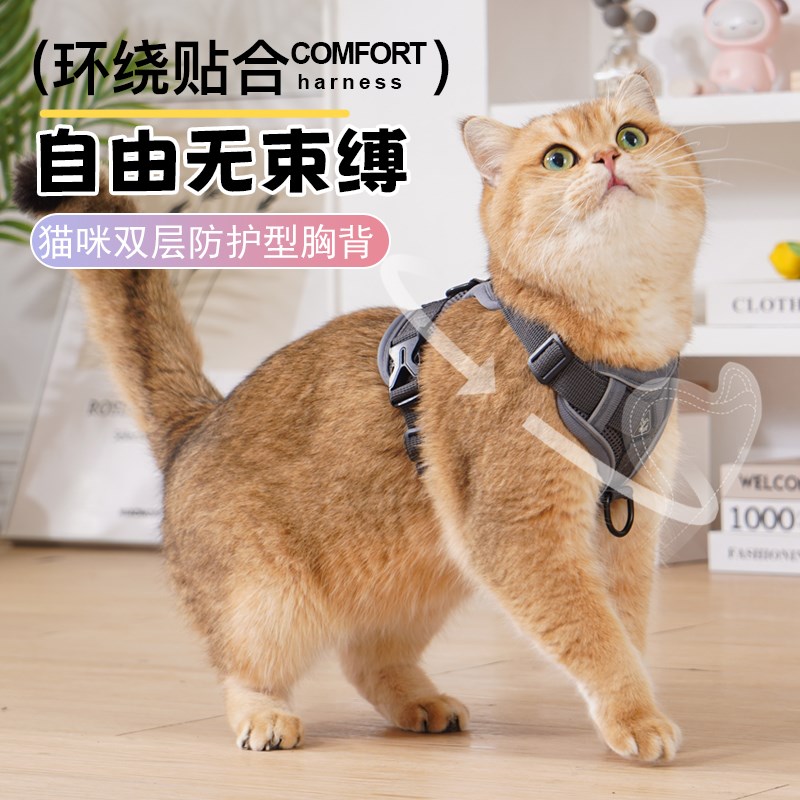 猫咪牵引绳狗狗绳m子防挣脱外出透气猫绳宠物背带链子调节遛猫狗