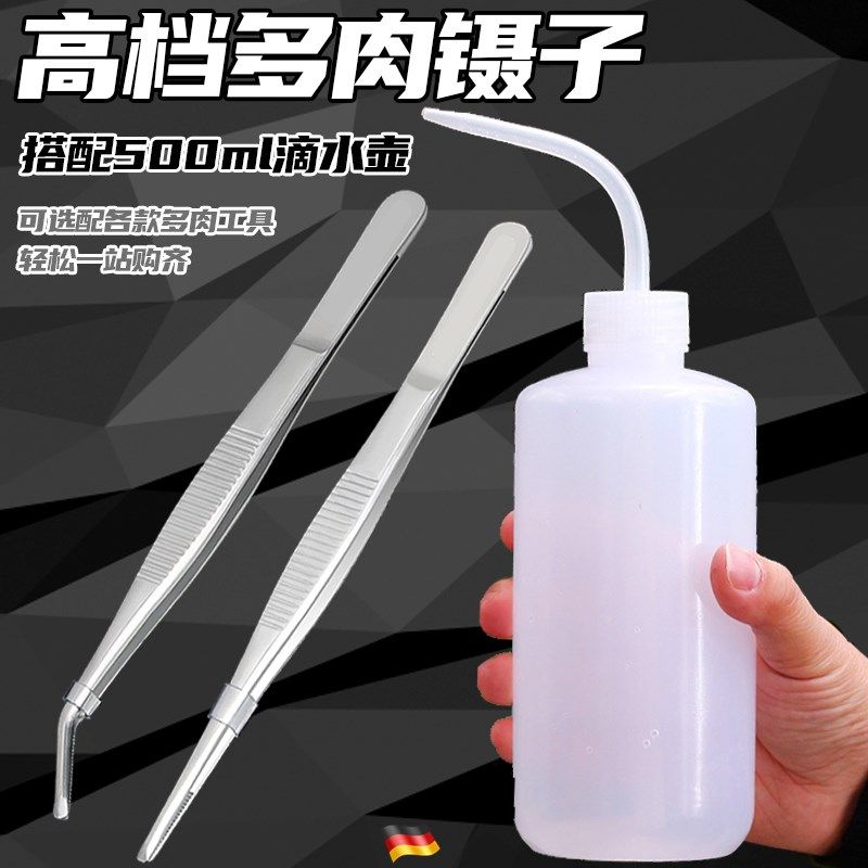 【配套水壶】g不锈钢加厚镊子多肉专用工具套装铲子园艺夹子一整,鲜花速递/花卉仿真/绿植园艺,园艺用品套装,淘宝优惠券,粉丝福利购,淘宝优惠卷