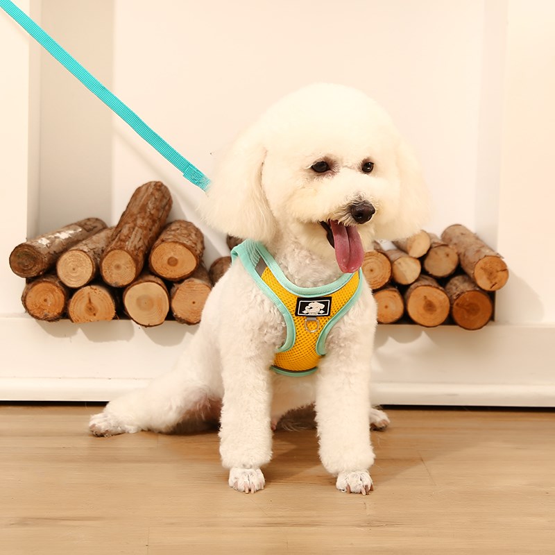 背心式狗狗牵引h绳小型犬泰迪比熊博美幼犬胸背带宠物狗链子遛狗