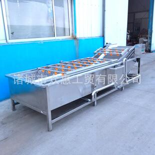 食品包装袋去油污清洗设备中药材鱼腥草清洗机叶菜类清洗机器