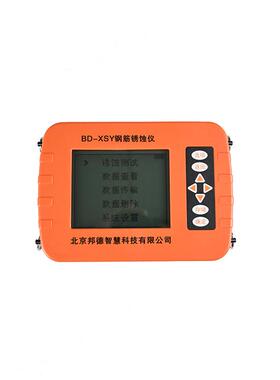 BD-XSY钢筋锈蚀检测仪混凝土极化电极电位差测试工厂直发