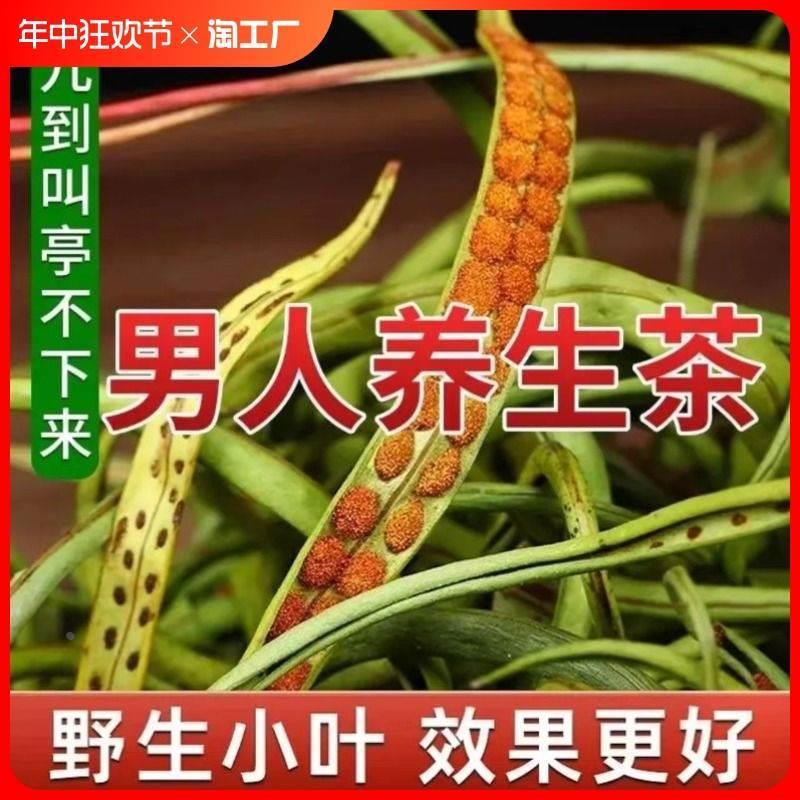 长白山野生肾精草500g肾精茶化石草黄金草嗷嗷叫茶东北吉林肾经草