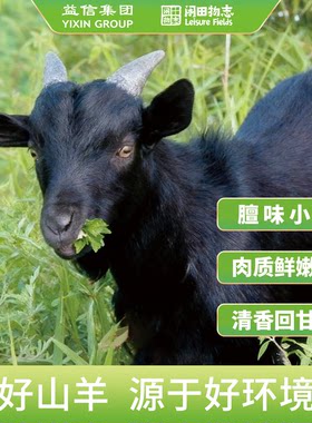 闲田物志小耳黑山羊带皮山羊