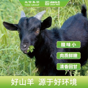 闲田物志小耳黑山羊带皮羊腿腩排颈蝎子肉羊肉火锅