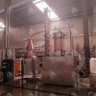 Gin酒酿酒设备 铜蒸馏设备蒸馏器 琴酒蒸馏设备