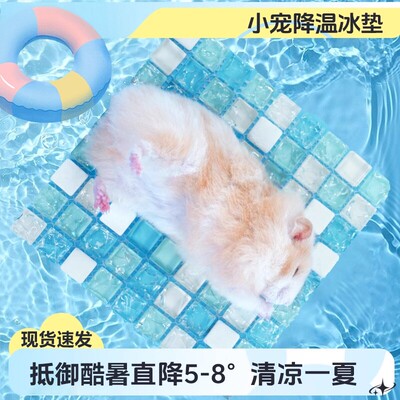 仓鼠冰垫宠物用品冰凉垫冰窝宠物