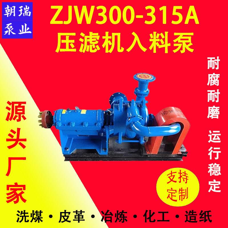 ZJW300-315A洗煤厂给料入料泵铬合金卧式加压杂质入料泵