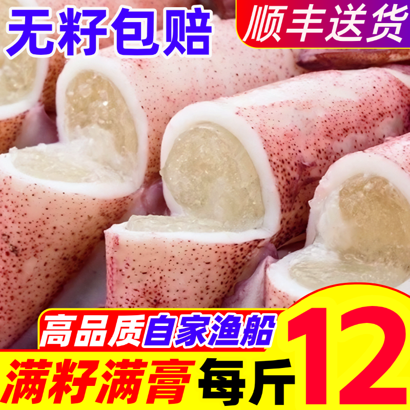 籽乌海兔子满籽满膏鲜活小鱿鱼新鲜速冻乌贼墨鱼仔笔管鱿鱼海鲜