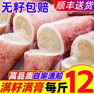 籽乌海兔子满籽满膏鲜活小鱿鱼新鲜速冻乌贼墨鱼仔笔管鱿鱼海鲜