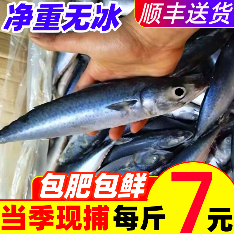 新鲜鲐鲅鱼青占鱼鲜活整条冷冻鲅鱼鲐鱼燕青鱼鲭鱼海鲜深海鱼水产
