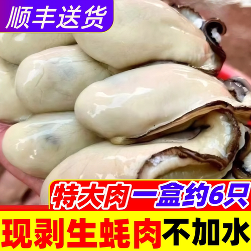 去壳大号商用生蚝肉冻海蛎子新鲜