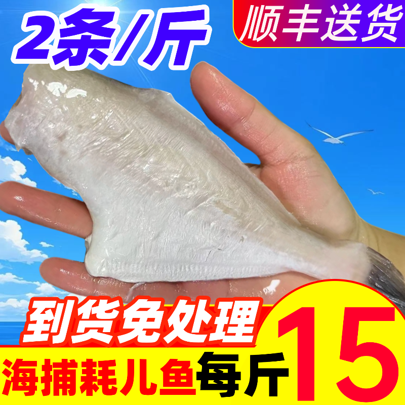 耗儿鱼新鲜马面鱼扒皮鱼