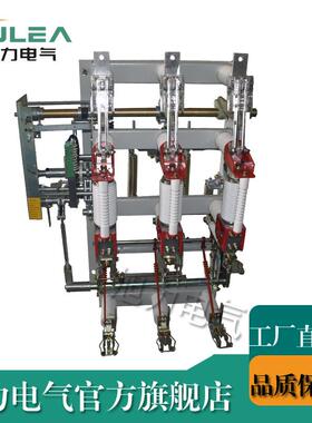 高压真空负荷隔离开关FZN16-12DR侧装正装墙挂式接地带熔断器