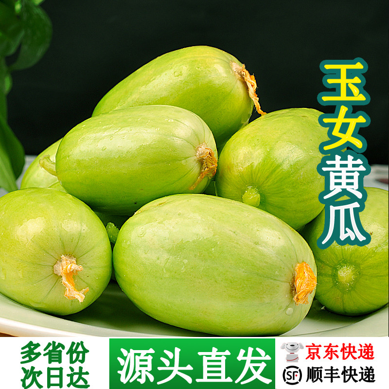 【京东/顺丰快递】寿煜玉女拇指黄瓜新鲜生吃现摘现发青瓜蔬菜