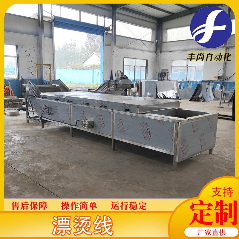 丰尚供应蔬菜漂烫杀青设备长寿菜漂烫机山野菜蒸煮漂烫流水作业线