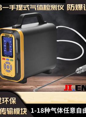 基恩思PTM600-CH6O手提泵吸式乙醇浓度检测仪CH40甲醇气体测试仪