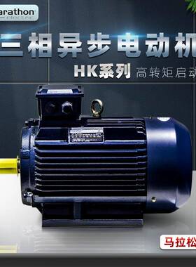 马拉松电机H系列高转矩三相异步电动机立卧式380V铸铁