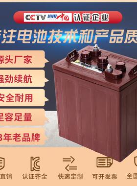 3D-230型铅酸蓄电池6V260Ah电动游览观光车巡逻车环卫车洗地机