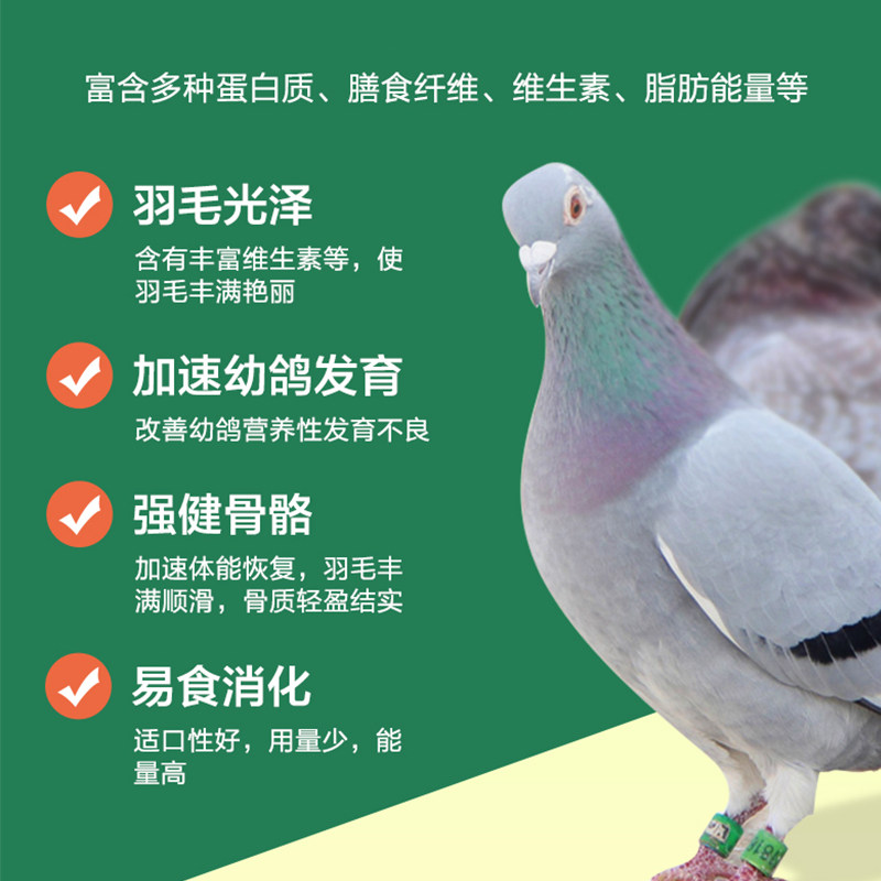 赛鸽观赏鸽信鸽子j魔鬼3A级粮食高钙喷窝蛋白清除清理能量鸽粮饲