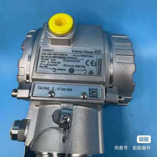 议价压力变送器 PMP71-2W6P1/0 测量