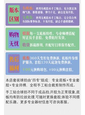 高档CnsT斯汀皮专业乒乓球拍睿博9底T板胶高级兵乓凯球拍乒乓拍套