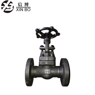 16C 25P 40I 100锻造A105明杆手动法兰闸阀锻钢 64R J41H