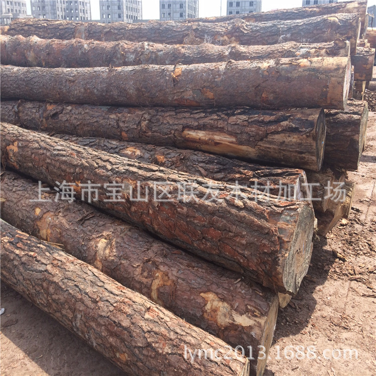 长期批发销售樟子松原木 松原木 防腐木材  户外景观防腐木