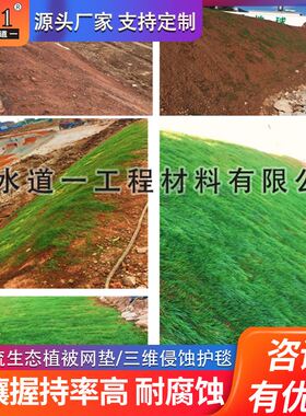 厂家现货植被边坡绿化绿色pe塑料三维网土工网垫EM2/3三维植被网