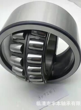现货销售双列调心滚子轴承F-809281-PRL搅拌机减速机轴承丰本轴承