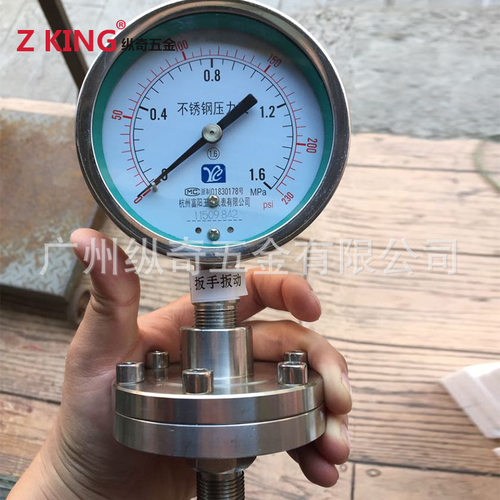 YTP-100BF全不锈钢304/316L隔膜耐震法兰径向压力表