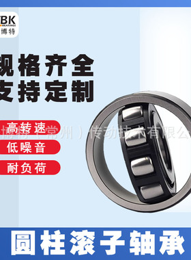 德国KBTBK进口圆柱滚子轴承N405 N406 N407 N408EM 铜保持架