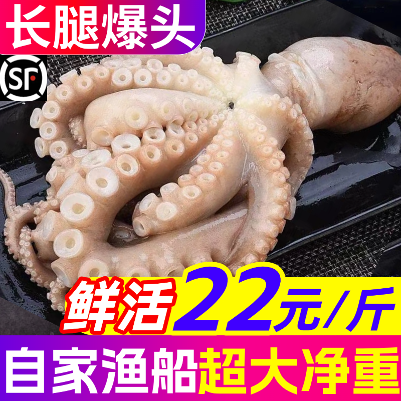 超大长腿八爪鱼鲜活冷冻新鲜大章鱼网红整只大爆头商用海鲜水产