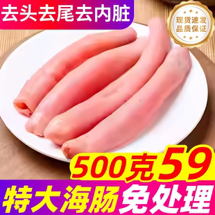 新鲜海肠鲜活海肠子大连烟台海肠皮捞饭沙虫葱油商用冷冻水产海鲜