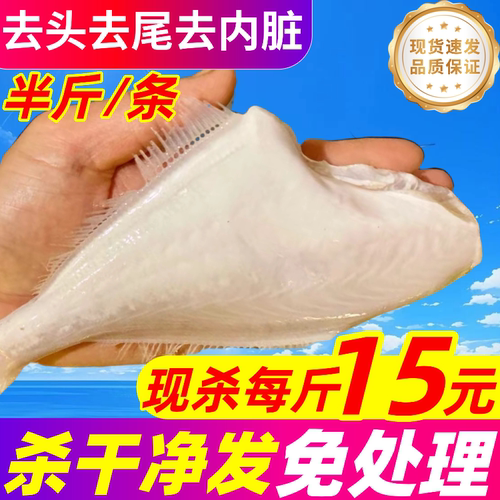 新鲜耗儿鱼冷冻中号小号