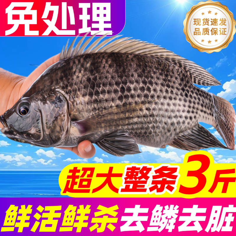 罗非鱼新鲜鲜活现杀冷冻整条去鳞去内脏鲷鱼片烧烤食材整箱商用,水产肉类/新鲜蔬果/熟食,淡水鱼类,淘宝优惠券,粉丝福利购,淘宝优惠卷