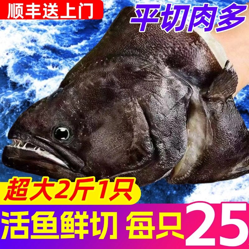 碟鱼头冷冻商用深海大鲽鱼头新鲜蝶鱼头鲜活海鲜水产鸦片鱼头