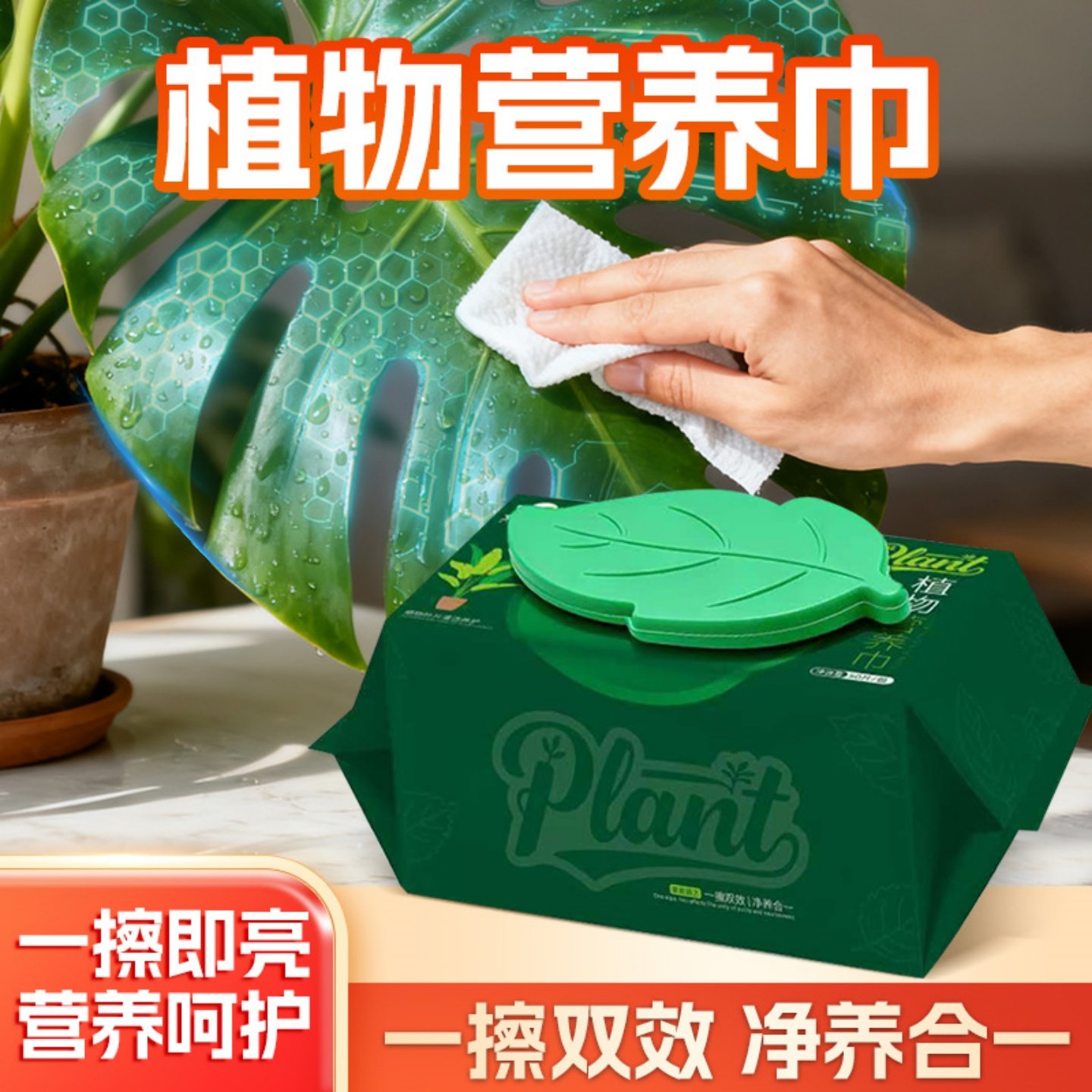 植物营养巾除污亮叶除尘叶面肥料