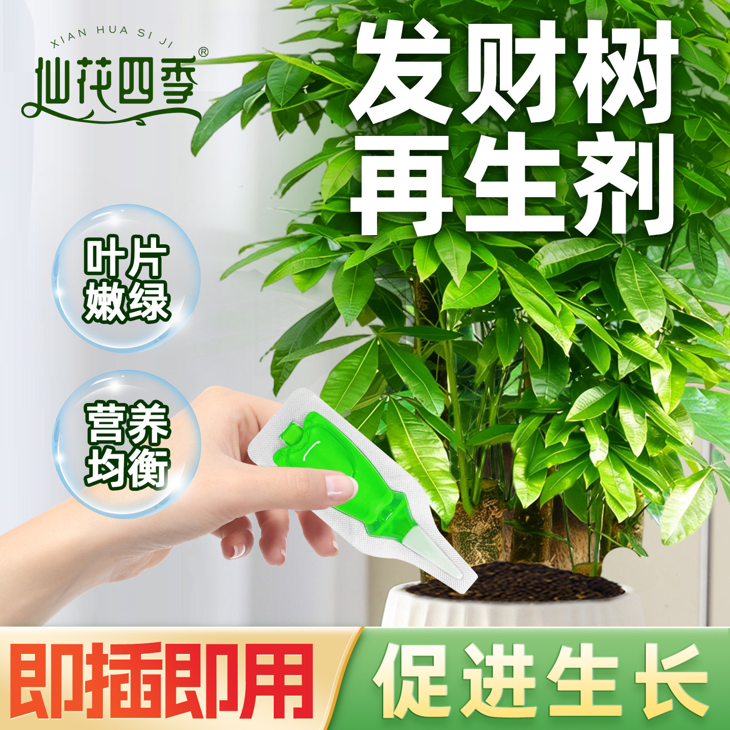 发财树再生剂植物浓缩营养液绿植花卉盆栽家庭园艺免稀释水溶肥料