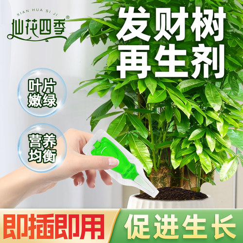 发财树再生剂植物免稀释营养液