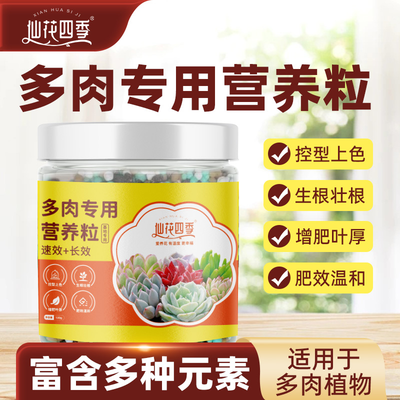 仙花四季兰花专用营养粒