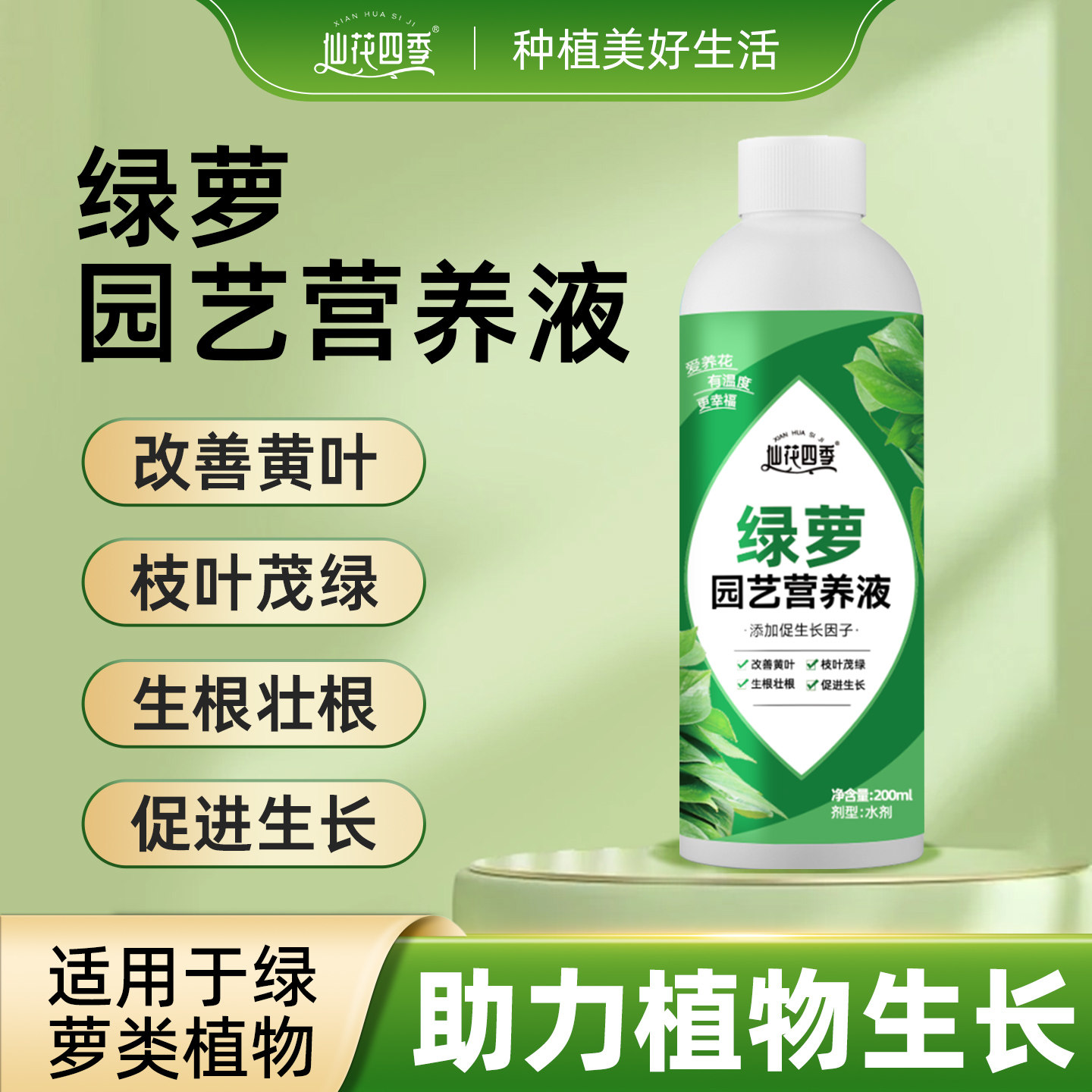 绿萝营养液肥料专用肥绿植物盆栽园艺营养液家用土水培通用花肥料