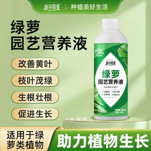 绿萝营养液肥料专用肥绿植物盆栽园艺营养液家用土水培通用花肥料